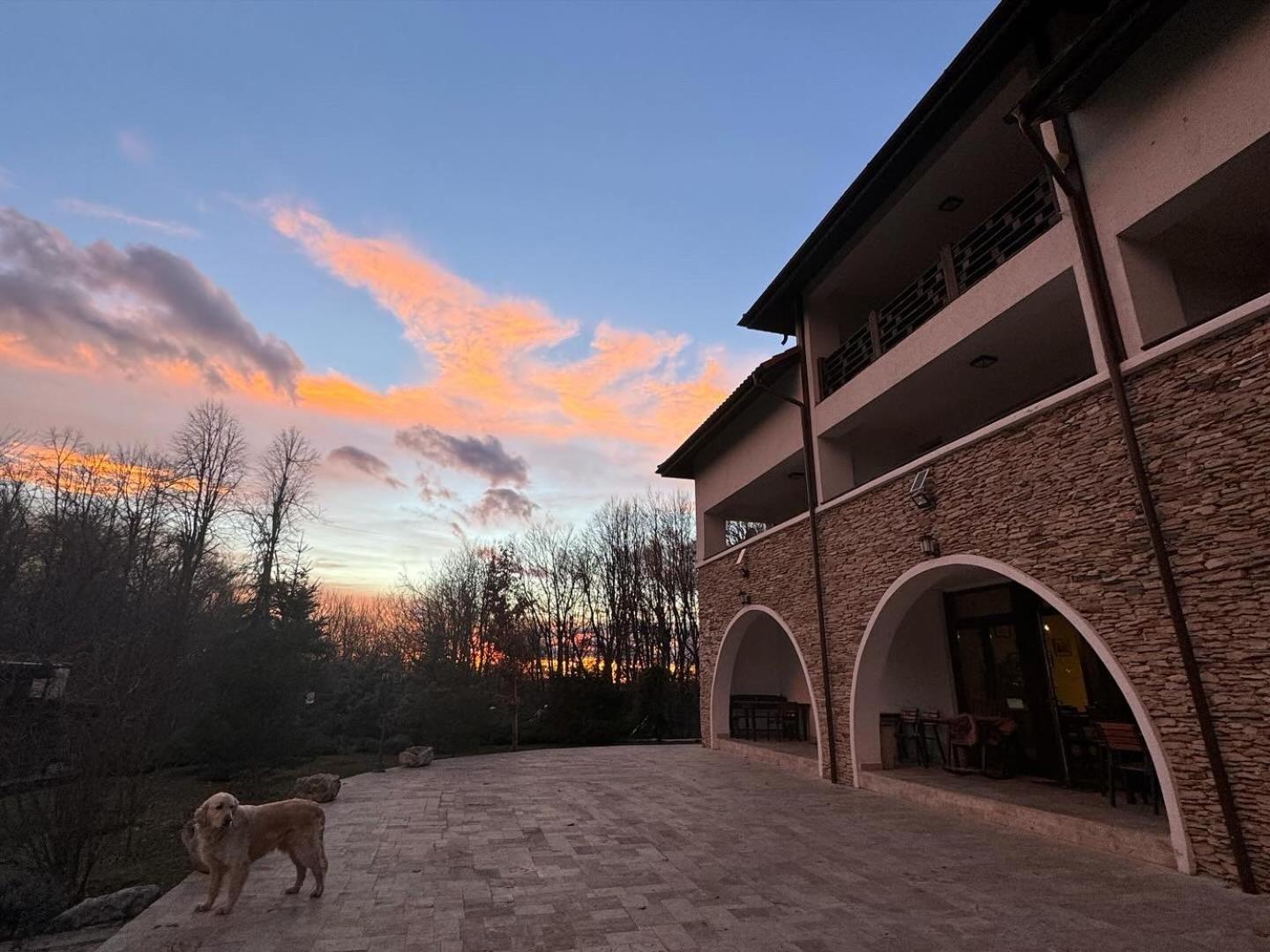 Hotel Cetatuia Măgura Zewnętrze zdjęcie