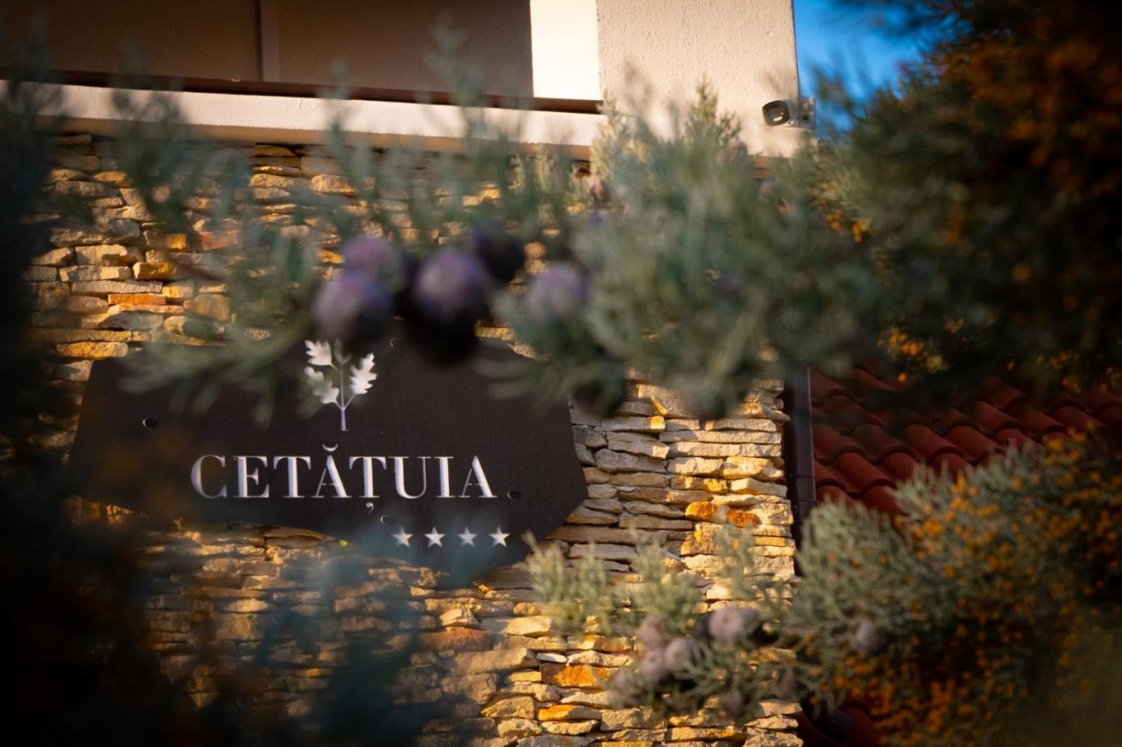 Hotel Cetatuia Măgura Zewnętrze zdjęcie