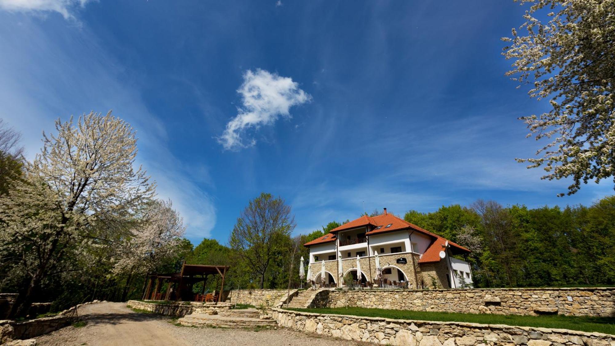 Hotel Cetatuia Măgura Zewnętrze zdjęcie